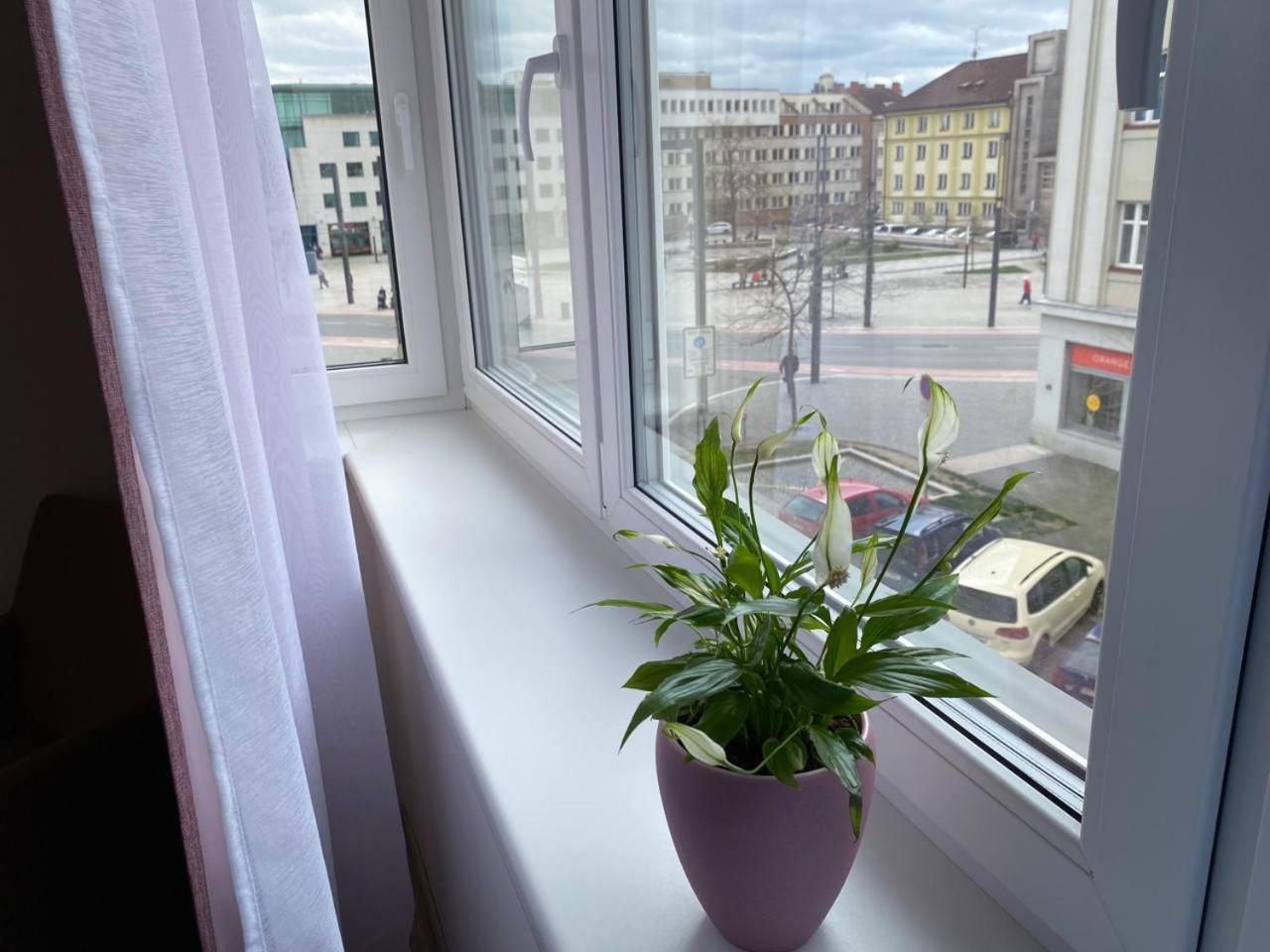 Apartmán Perla Hradce 302 Hradec Králové Exteriér fotografie