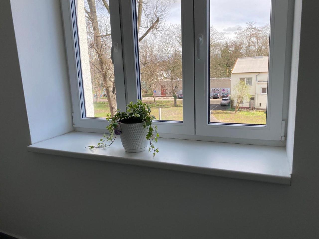 Apartmán Perla Hradce 302 Hradec Králové Exteriér fotografie